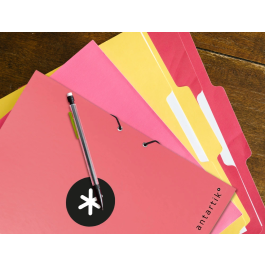 Antartik Carpeta Clasificadora A4 12 Departamentos con Goma Cierre, Cartón Forrado, Color Coral