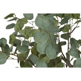 Planta Urban DKD Home Decor Verde Marron 60 x 150 x 60 cm (2 Unidades) Planta Urban DKD Home Decor Verde Marron 60 x 150 x 60 cm (2 Unidades)