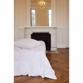 TOISON D'OR - Cálido edredón Daisy (300g/m²) - 220x240cm - Plumas y plumón - 2 personas - Blanco