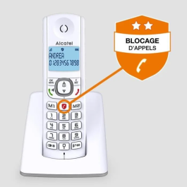 Alcatel F530 Solo Teléfono Inalámbrico sin contestador automático Gris