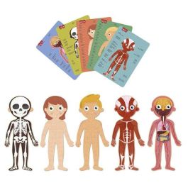 Puzle Cuerpo Humano 240 Piezas R.19438 Apli Puzle Cuerpo Humano 240 Piezas R.19438 Apli