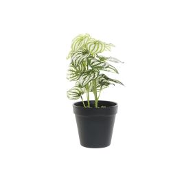 Planta DKD Home Decor Verde Negro 13 x 27 x 13 cm (4 Unidades) Precio: 16.0809. SKU: B1GRP2AXV8