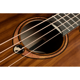 Bajo Acústico Lâg Jumbo A/E - Sauvage