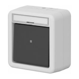 GIRA 311630 Wipp-Kontroll AusWe BSF WG AP Grau Precio: 43.8504. SKU: B1BSNY2WZQ