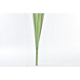 Rama DKD Home Decor Amarillo Verde 12 x 100 x 12 cm (12 Unidades) Rama DKD Home Decor Amarillo Verde 12 x 100 x 12 cm (12 Unidades)