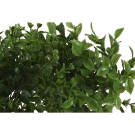 DKD Home Decor Planta Artificial Verde Natural PE/Fibra 25.5 x 28 x 25.5 cm (6 Unidades)
