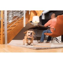 Petsafe Sistema de Entrenamiento Perros 300m con Collar Estático Vibración Sonido Impermeable y Recargable para Adiestramiento Canino >3.6kg Petsafe Sistema de Entrenamiento Perros 300m con Collar Estático Vibración Sonido Impermeable y Recargable para Adiestramiento Canino >3.6kg