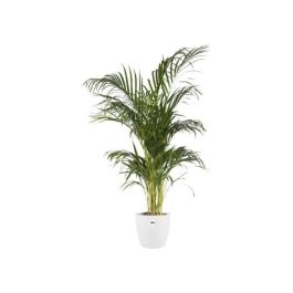 Elho Maceta Brussels Rond 30 Blanco Interior Ø 29,5 x H 27,1 cm