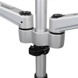 Soporte de Mesa para Pantalla Startech ARMDUAL30 Soporte de Mesa para Pantalla Startech ARMDUAL30