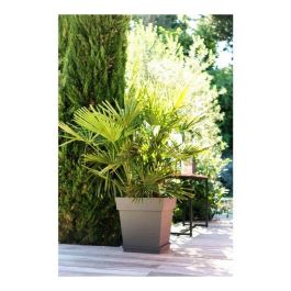 EDA Maceta Cuadrada Toscana 50 cm - 87 L - Taupe | Anti-UV, Resistente a Heladas, Con Retención de Agua | Para Interior y Exterior