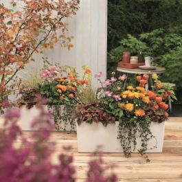 Lechuza 15670 LEC4008789156709 Jardinera Balconera Color 50 Todo en Uno Blanca