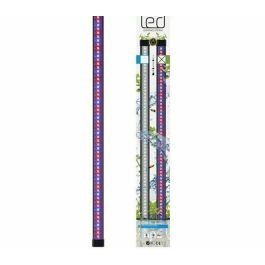 Ciano CLN5 Rampa LED Blanco RGB 1.5W p/ acuarios Nexus Betta Life 5C / Diamond 14C. Con transformador, espectro plantas, IP67. Precio: 51.68999968. SKU: B1C8KYV3AD
