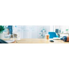 AOC Q27P2Q Monitor 27'' Quad HD (2560x1440) IPS 4ms HDMI DisplayPort USB Pivot Altavoces Negro