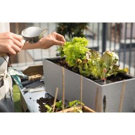 Lechuza LEC4008789156501 Jardiniere Balconera Piedra 50 - 50x19x19 cm - Kit Completo - Gris Piedra - 8 L
