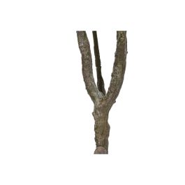 DKD Home Decor Árbol Tropical Artificial Frangipani Tahití PE, Blanco Verde Natural, 150 cm Alto x 80 cm Ancho x 80 cm Largo DKD Home Decor Árbol Tropical Artificial Frangipani Tahití PE, Blanco Verde Natural, 150 cm Alto x 80 cm Ancho x 80 cm Largo