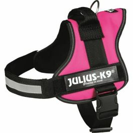 Arnés para Perro Trixie Power Fucsia M/L Arnés para Perro Trixie Power Fucsia M/L Precio: 47.49999958. SKU: B1AJMWPBG6