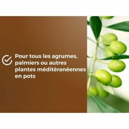 Or Brun OBRTAGR6U Tierra para Cítricos y Plantas Mediterráneas 6L - Olivos, Palmeras y Cycas