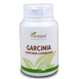 Garcinia Precio: 13.7900004. SKU: B14N5EV96S