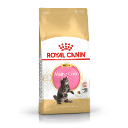 Royal Canin Royal Feline Kitten Maine Coon 4 kg Precio: 59.4999999. SKU: B1AC35SSTJ