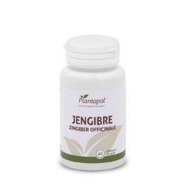 Jengibre Precio: 14.4999998. SKU: B1CZSPE4L4