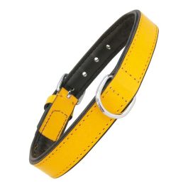 Collar para Perro Gloria Acolchado Amarillo (50 x 2,5 cm) Precio: 6.50000021. SKU: S6100755