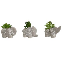 DKD Home Decor Planta Decorativa de Elefante, Cemento y PE, Gris y Verde, 5x7x8 cm, Set de 3 Unidades