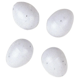 Ferplast Huevos De Plastico Para Pajaros 1,3x1,6 cm Precio: 4.94999989. SKU: B1CRYM7BYB