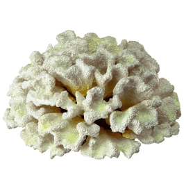 Ferplast Coral Blanco Para Acuario Blue 9131 19,5x19,5x8,5 cm Precio: 31.95000039. SKU: B1DKBL46ER