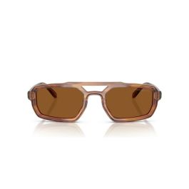 Gafas de Sol Hombre Emporio Armani EA 4240U