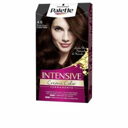 Palette Intensive Tinte Precio: 4.4649003267. SKU: S4603974