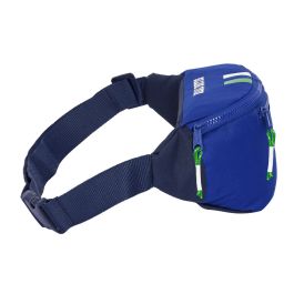 Riñonera Real Betis Balompié Azul 23 x 12 x 9 cm Riñonera Real Betis Balompié Azul 23 x 12 x 9 cm