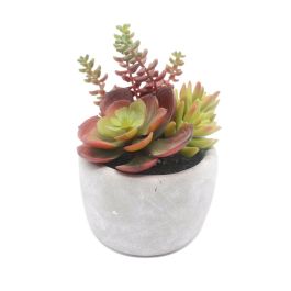 Planta Decorativa Versa Cerámica Plástico 12,7 x 15,24 x 12,7 cm Precio: 13.50000025. SKU: B1D7E7YLBY