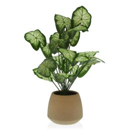 Planta Decorativa Versa 15 x 52 x 15 cm Cemento Plástico Precio: 27.50000033. SKU: S3410677