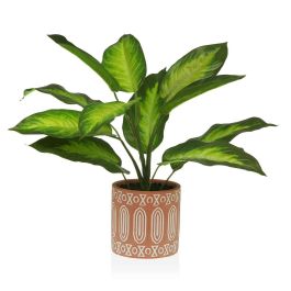 Planta Decorativa Versa 15 x 48 x 15 cm Cemento Plástico Precio: 21.58999975. SKU: S3410678