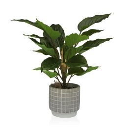 Planta Decorativa Versa Cemento Plástico 15 x 47 x 15 cm Precio: 25.4999998. SKU: S3410680