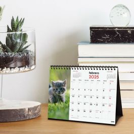 Finocam Calendario De Sobremesa Para Escribir S-210x150 mm Imágenes Gatitos 2025