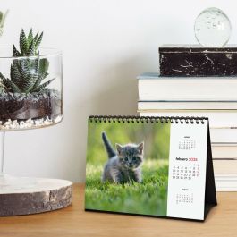 Finocam Calendario De Sobremesa Para Escribir S-210x150 mm Imágenes Gatitos 2025