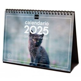 Finocam Calendario De Sobremesa Para Escribir S-210x150 mm Imágenes Gatitos 2025