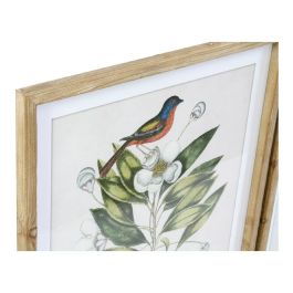 Cuadro DKD Home Decor Bird 55 x 2,5 x 70 cm Tropical Pájaros (4 Piezas)