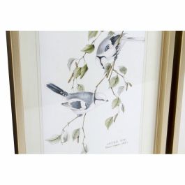 Cuadro DKD Home Decor 35 x 2,5 x 45 cm Tradicional Pájaros (4 Piezas)