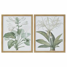 Cuadro DKD Home Decor 43 x 3 x 53 cm Plantas botánicas (2 Unidades) Precio: 144.94999948. SKU: S3017854