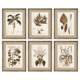 Cuadro DKD Home Decor 55 x 2,5 x 70 cm Moderno Plantas botánicas (6 Piezas)