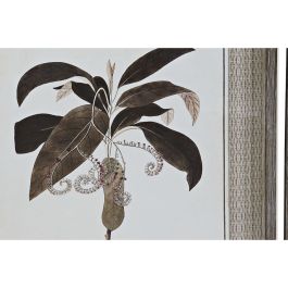 Cuadro DKD Home Decor 55 x 2,5 x 70 cm Moderno Plantas botánicas (6 Piezas)