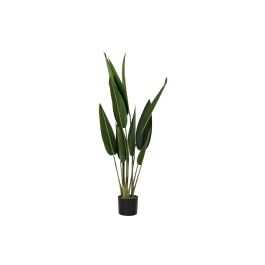 Planta Urban DKD Home Decor Verde 40 x 115 x 40 cm Precio: 42.50000007. SKU: B19QVKWJRD