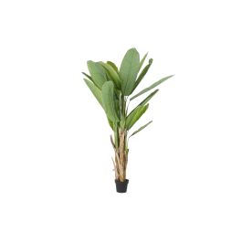 Árbol DKD Home Decor 90 x 90 x 190 cm Polipropileno Palmera Precio: 232.88999954. SKU: B1J72TSAH2