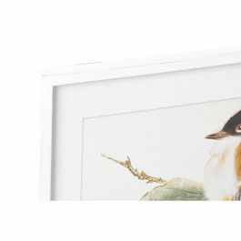 Cuadro DKD Home Decor 60 x 2,5 x 60 cm Pájaro Shabby Chic (4 Piezas)