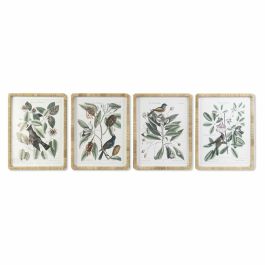 Cuadro DKD Home Decor 50 x 2,5 x 65 cm Shabby Chic Plantas botánicas (4 Piezas)