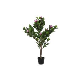 Planta Decorativa DKD Home Decor Rosa Verde PE (60 x 60 x 125 cm) Precio: 81.99000051. SKU: S3030599