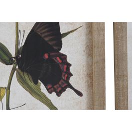 Cuadro DKD Home Decor Mariposas 40 x 2 x 50 cm Shabby Chic (4 Piezas)