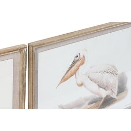Cuadro DKD Home Decor 70 x 2,5 x 50 cm Tradicional Pájaros (6 Piezas)